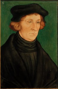 Bildnis eines Gelehrten (Otto Brunfels) von Lucas Cranach the Elder