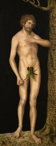Der Sündenfall von Lucas Cranach the Elder
