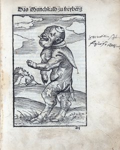 Mönchskalb von Freiberg, von Lucas Cranach dem Älteren (1472-1553)