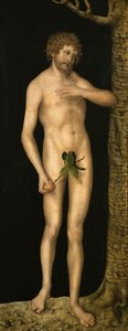 Der Sündenfall: Adam von Lucas the Elder Cranach