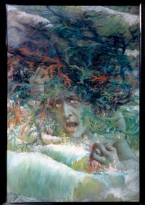 Die Meduse oder wütende Welle 1897
