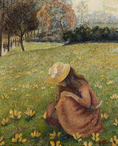Krokusse; Les Crocus