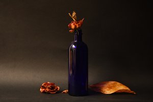 Getrocknete Rose blaue Flasche von Ludmila Shumilova