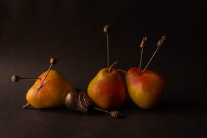 Stimmungsvolle Erntefrüchte von Ludmila Shumilova