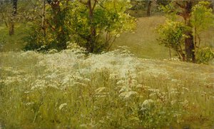 Wiesen-Kerbel auf einer Wiese von Ludovico Cavaleri
