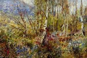 Waldlandschaft von Ludovico Cavaleri