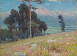 Sommerschnee in den Tatra von Ludovit Cordak