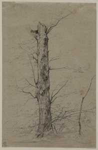 Baum von Ludwig Ferdinand Schnorr von Carolsfeld