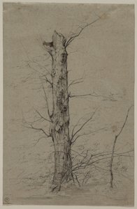 Baum, um 1835-45