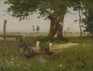 Sommerliche Wiesenlandschaft in Kärnten von Ludwig Willroider