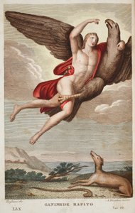 Ganymed in den Himmel getragen oder Ganimede Rapito, Buch X, Illustration aus Ovids Metamorphosen, Florenz, 1832 (handkolorierte Gravur)