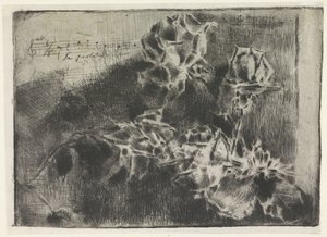 Rosenzweig von Luigi Conconi