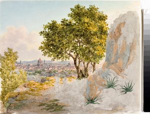 Panoramaansicht von Florenz