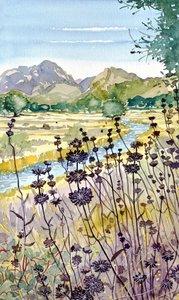 Bergfluss Wildblumen