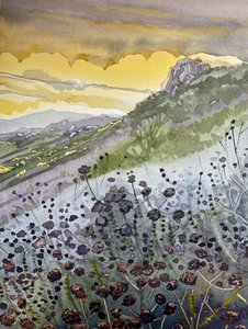 Bergsonnenuntergang Wildblumen