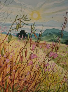 Rosa Feld Sonnenaufgang
