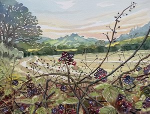 Reife Brombeeren Landschaft