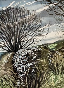 Winterlandschaft Blüte