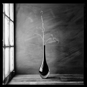 Minimalistische Zweigvase