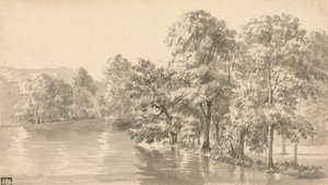 Bäume an einem See von Luke Sullivan