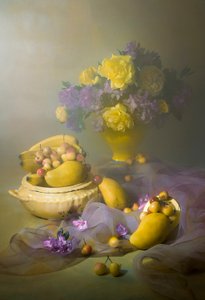  von Lydia Jacobs