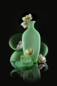 Elegantes Grünes Blumenmuster