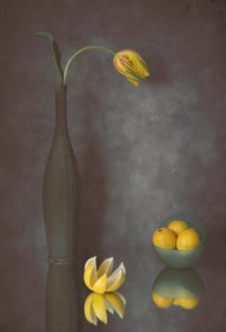  von Lydia Jacobs