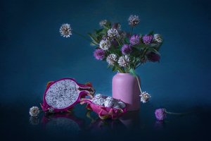 Stimmungsvolle Drachenfruchtblüten von Lydia Jacobs