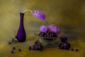 Opulentes lila Stillleben von Lydia Jacobs
