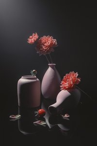 Ruhiges Rosa Blumenstillleben von Lydia Jacobs