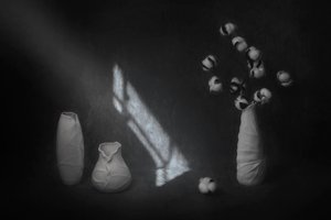  von Lydia Jacobs