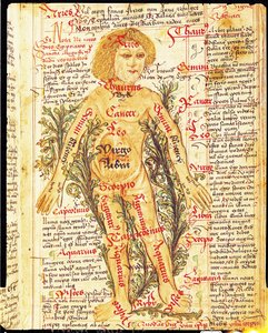 Einfluss der Sterne auf Krankheiten des menschlichen Körpers, aus Tractatus de Pestilencia von M, Albik