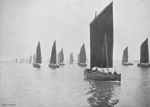 Heringsboote vor der Tyne, ca. 1896