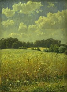 Ein Haferfeld