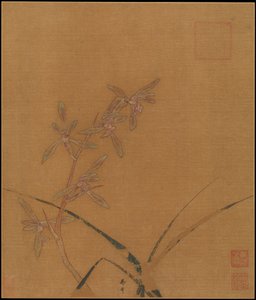 Orchideen, zweites Viertel des 13. Jahrhunderts. von Ma Lin