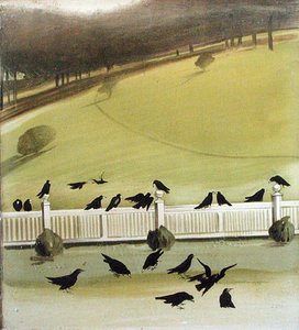 Saatkrähen, die in einem Park fressen von Madeline Wyndham