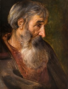 Der Kopf eines alten bärtigen Mannes von Maerten Vos de