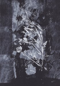 Schwarze Natur