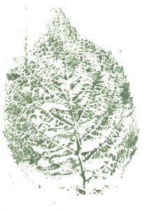 Botanischer Blattdruck von Maira Ribena