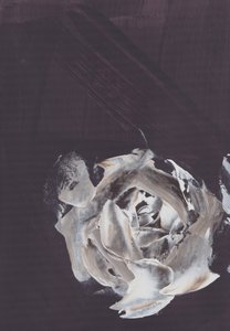 Dunkle Abstrakte Rose