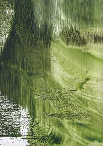 Organischer Grüner Fluss
