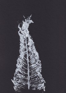 Weiße Farn-Silhouette