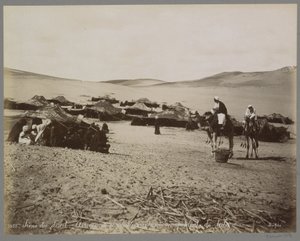 Lager mit Zelten und Kamelen in der Wüste (vermutlich Ägypten)