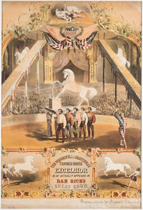 Das wunderbare und schön trainierte Pferd Excelsior, um 1840