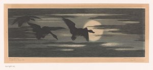 Drei Enten ziehen entlang des Sonnenuntergangs
