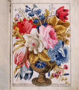 Illumination aus der "Bolla della Agregazione auta dalla Venerabile Archiconfraternita di San Rocco in Rom von Marco Antonio Binarelli