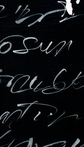 Tagebuch eines Verrückten