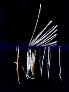 Due, 2018 von Marco Campedelli