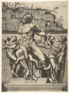 Laokoon und seine Söhne werden von Schlangen angegriffen, ca. 1515-27