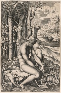 Venus, von einem Rosendorn verwundet, um 1516 von Marco Dente